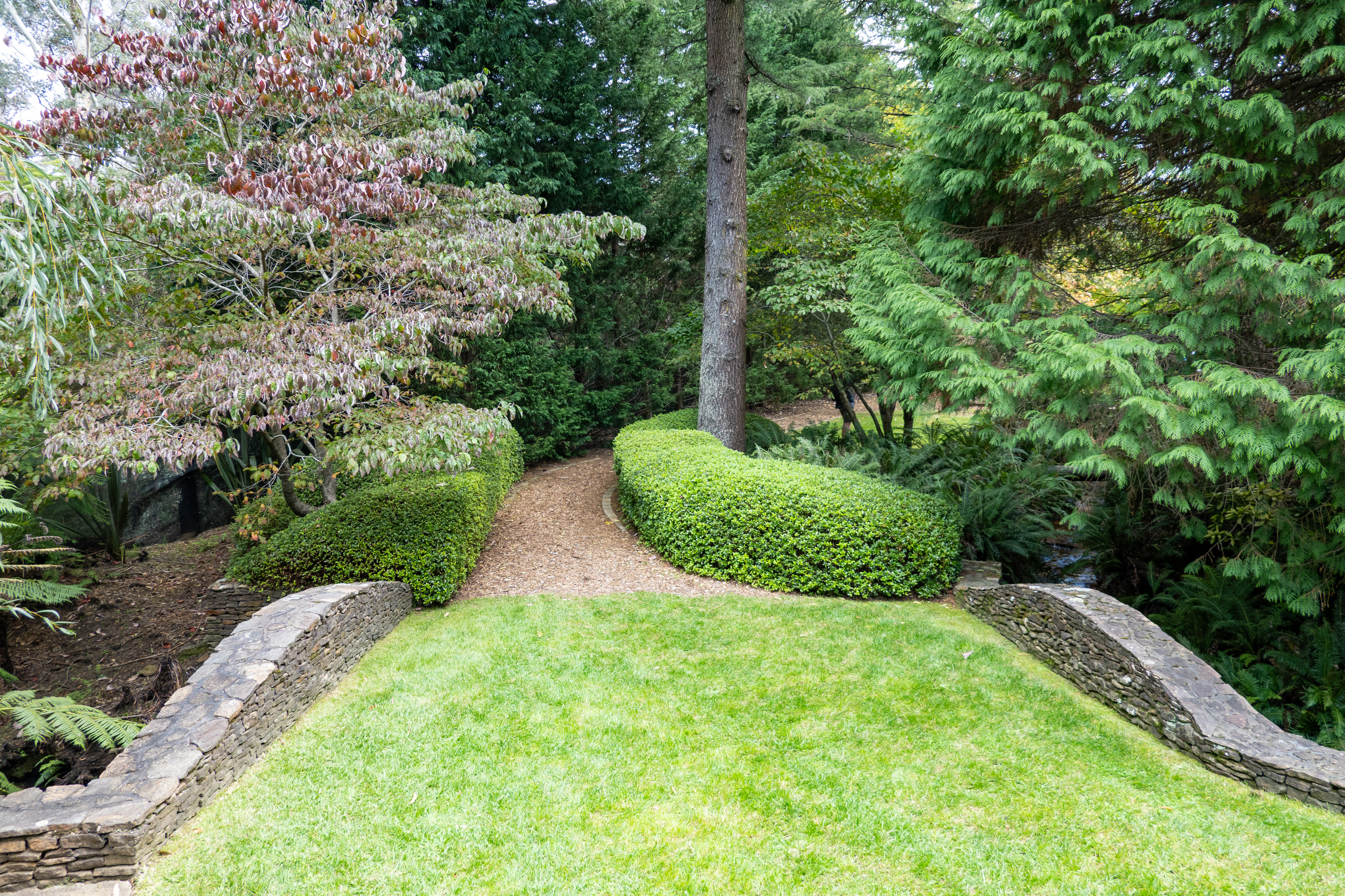 landscaped pathway
